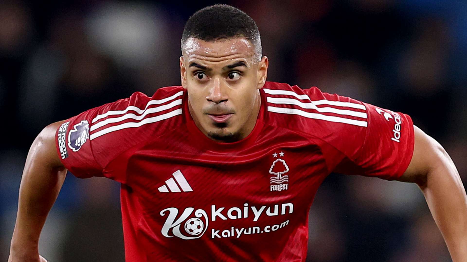 的统治力毋 的统治力毋