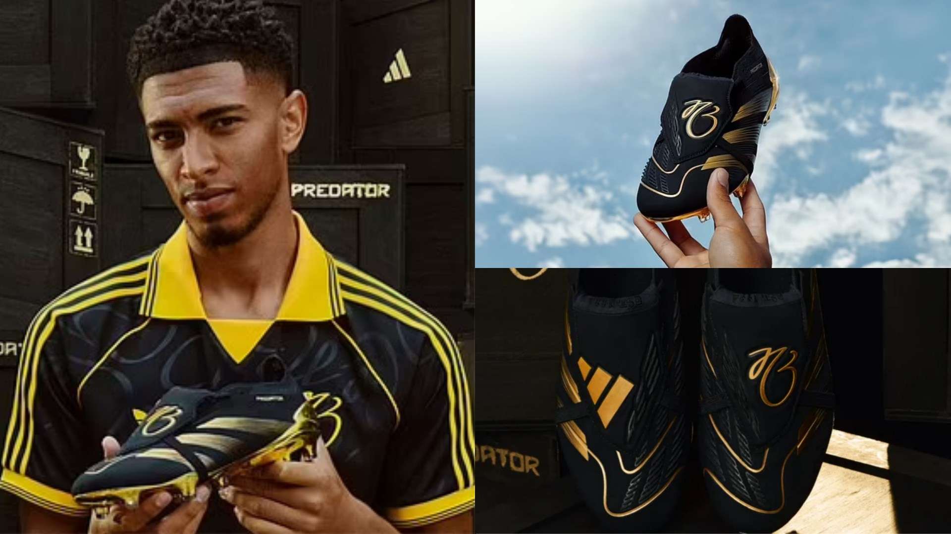 全国各级应 全国各级应