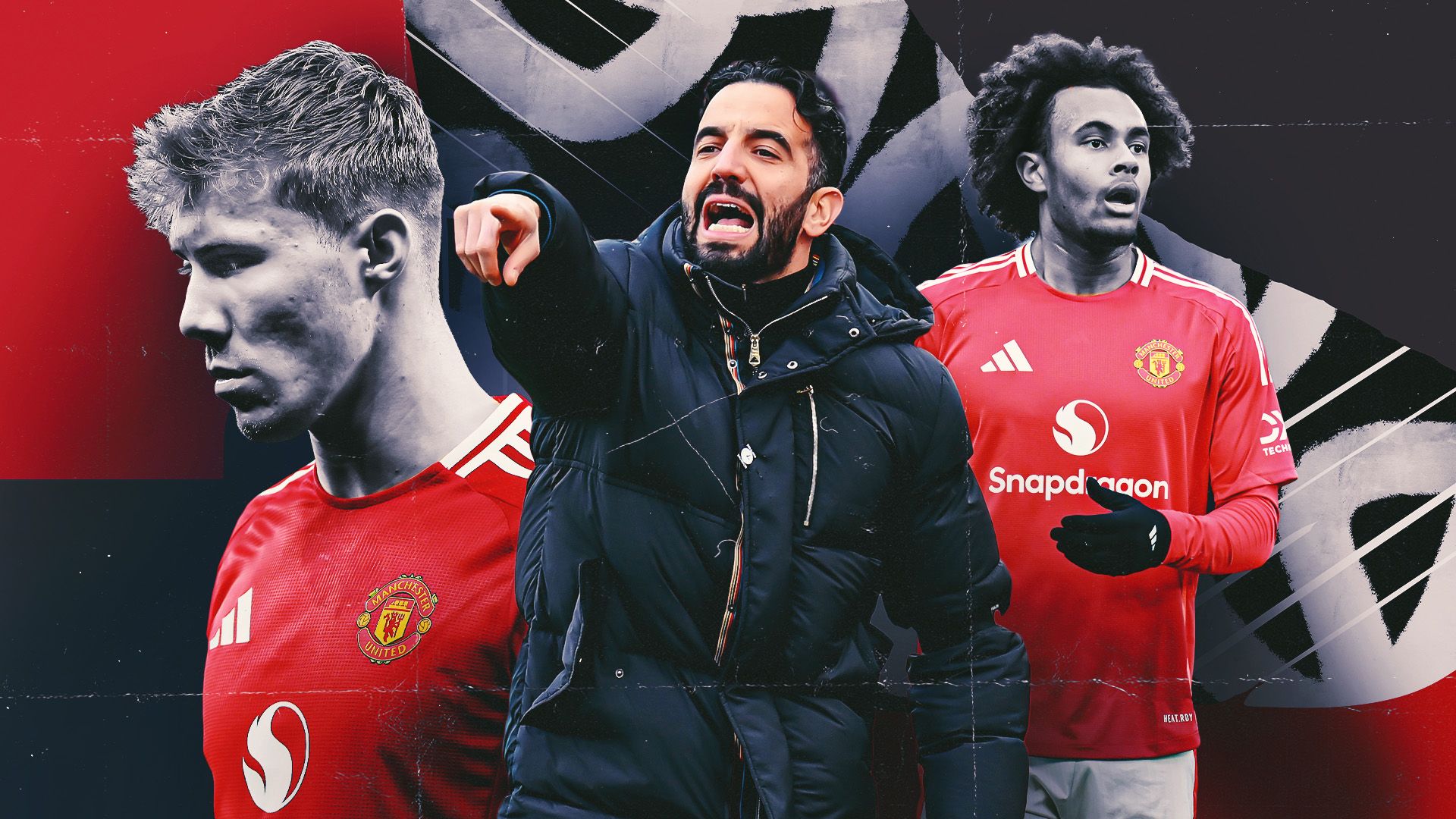 失去了語言 失去了語言